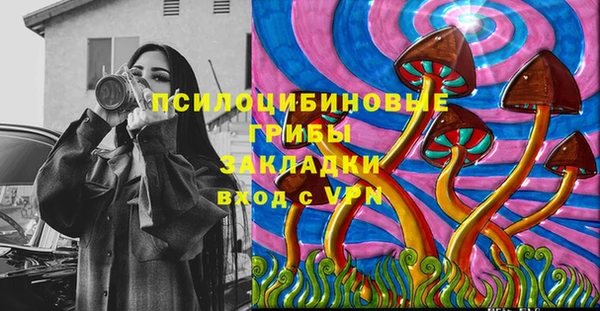 гидропоника Алзамай