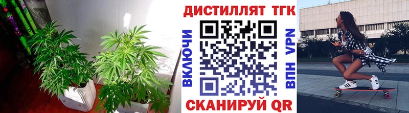 Дистиллят ТГК гашишное масло  где купить наркоту  Пласт 