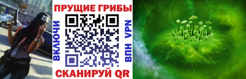купить  сайты  Пласт  Псилоцибиновые грибы ЛСД 